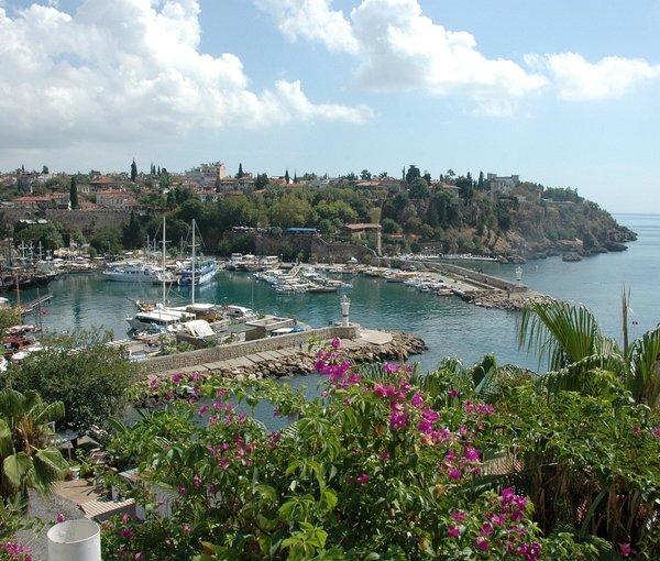 Dandy Cove