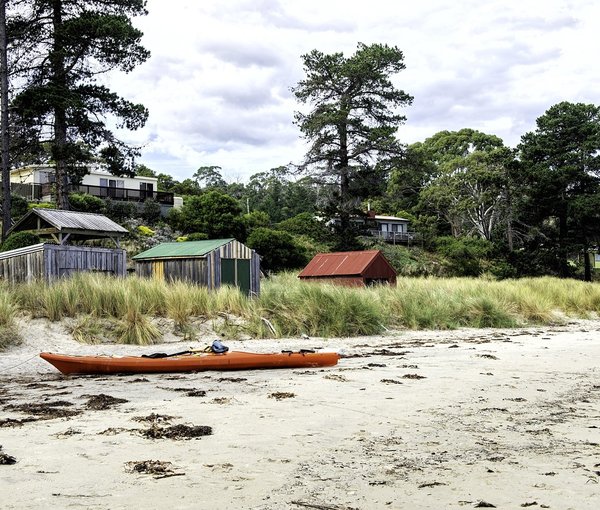 Dandy Cove